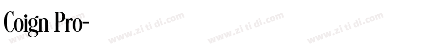 Coign Pro字体转换
